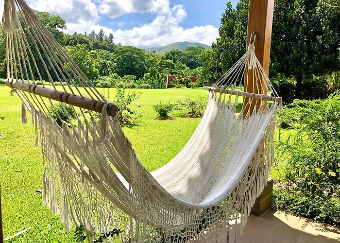 Studios And Suites Playa Los Corales