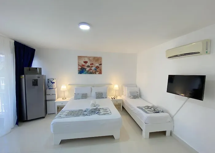 Caribbean Suites At Los Corales Beach